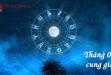 Sinh Tháng 2 Cung Gì? Khám Phá Bảo Bình Và Song Ngư Trong Tháng 2