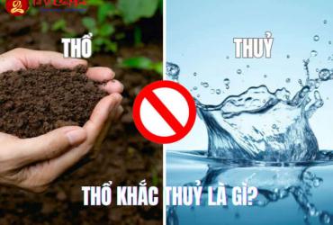 Thổ Khắc Thủy: Hiểu Rõ Nguyên Lý Tương Khắc Trong Phong Thủy