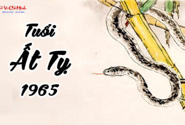 Tuổi Xông Đất Cho Gia Chủ Sinh Năm 1965 (Ất Tỵ): Chọn Người May Mắn