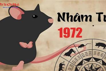 Tuổi Xông Đất Cho Gia Chủ Sinh Năm 1972 (Nhâm Tý): Hướng Dẫn Chọn Người Phù Hợp