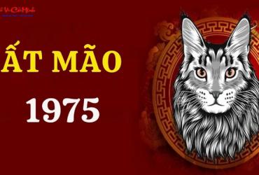 Tuổi Xông Đất Cho Gia Chủ Sinh Năm 1975 (Ất Mão): Cẩm Nang Chọn Người May Mắn