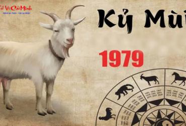 Tuổi Xông Đất Cho Gia Chủ Sinh Năm 1979 (Kỷ Mùi): Chọn Người Phù Hợp Theo Phong Thủy