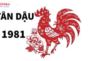 Tuổi Xông Đất Cho Gia Chủ Sinh Năm 1981 (Tân Dậu): Hướng Dẫn Chuyên Sâu