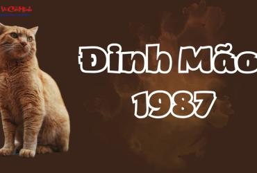 Tuổi Xông Đất Cho Gia Chủ Sinh Năm 1987 (Đinh Mão): Hướng Dẫn Chọn Người Thành Công