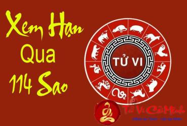 Xem vận hạn qua 114 Sao trong Tử Vi