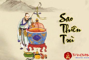 Sao Thiên Trù Ở Mệnh Và Các Cung Khác
