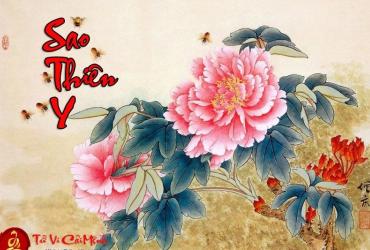 Sao Thiên Y – Ý Nghĩa Tại Mệnh Và Cung Khác