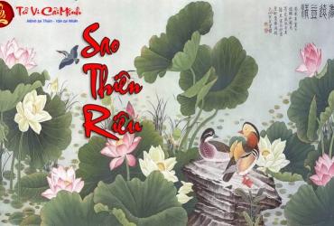 Sao Thiên Riêu – Ý Nghĩa Tại Mệnh Và Cung Khác