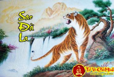 Sao Đà La - Ý Nghĩa Tại Mệnh và Cung Khác Trong Tử Vi