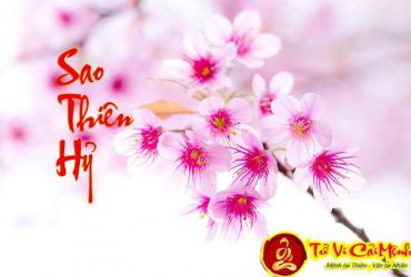 Sao Thiên Hỷ Tại Mệnh Và Các Cung Khác Trong Tử Vi