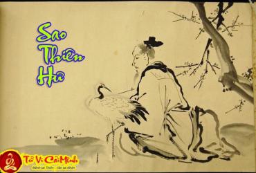Luận Về Sao Thiên Hư Tại Mệnh Và Các Cung Khác