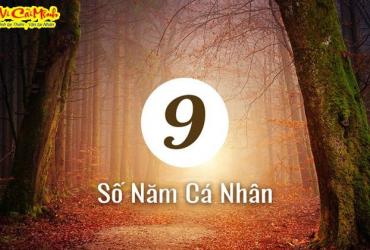 Năm Cá Nhân – Cách Tính Và Ý Nghĩa Trong Thần Số Học
