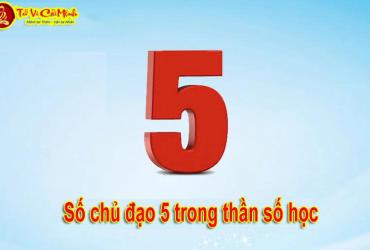 Ý Nghĩa Con Số Chủ Đạo 5 Trong Thần Số Học