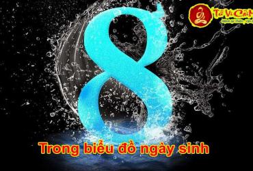 Ý Nghĩa Số 8 Trong Biểu Đồ Ngày Sinh Thần Số Học