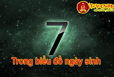 Ý Nghĩa Số 7 Trong Biểu Đồ Ngày Sinh Thần Số Học