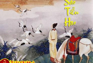 Luận Về Sao Tiểu Hao Tại Mệnh Và Các Cung Khác