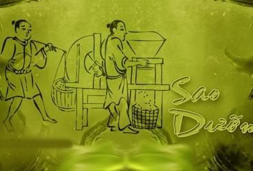 Ý Nghĩa SAO DƯỠNG Trong Tử Vi