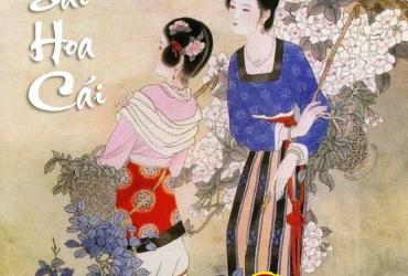 Sao Hoa Cái - Ý Nghĩa Tại Mệnh Và Các Cung Trong Tử Vi