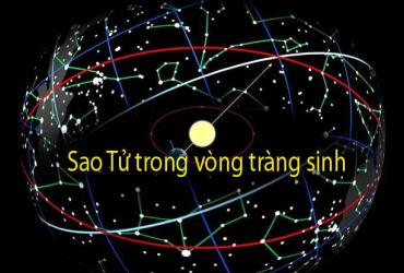 Sao Tử Trong Vòng Tràng Sinh