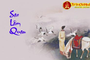 Luận Về Sao Lâm Quan Trong Vòng Tràng Sinh