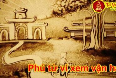 Phú Tử Vi Xem Vận Hạn