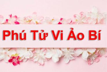 Thơ Phú Tử Vi Ảo Bí (14 Chính Tinh, Phụ Tinh Và 12 Cung)