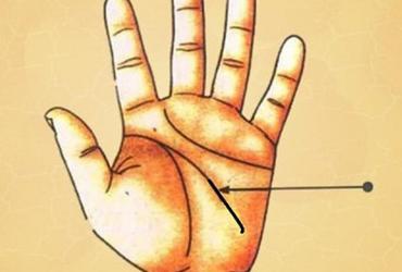 Xem Chỉ Tay Đường Trí Tuệ Để Biết Tài Trí Của Bạn