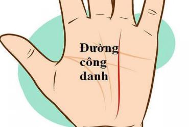 Xem Chỉ Tay Đường Thành Công Để Biết Sự Nghiệp Của Bạn