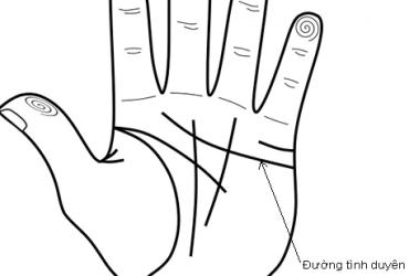 Xem Chỉ Tay Đường Tình Duyên Biết Ngay Hôn Nhân Nam Nữ, Tốt Hay Xấu