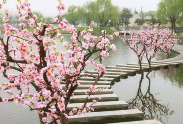 Cách sắp xếp phong thủy phòng ngủ để kích vận đào hoa