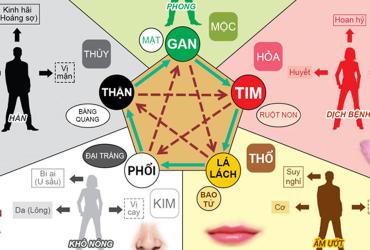 Hiểu về Ngũ hành ngũ tạng để chăm sóc sức khỏe
