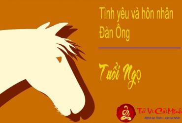 Đàn Ông Tuổi Ngọ Hợp Với Nữ Tuổi Nào Trong Tình Yêu