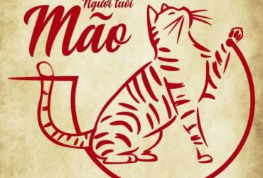 Đàn Ông Tuổi Mão Phù Hợp Tình Yêu Và Hôn Nhân Tuổi Nào