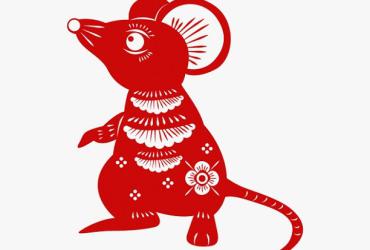 Tử Vi Tình Duyên Nam Tuổi Tý Như Thế Nào