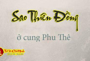 Ý Nghĩa Sao Thiên Đồng ở cung Phu Thê