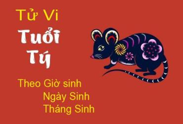 Xem Tử Vi Người Tuổi Tý dựa Vào Giờ, Ngày, Tháng Sinh Chính Xác