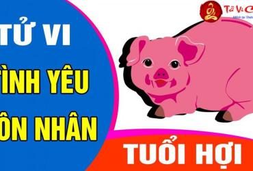 Đàn Ông Tuổi Hợi hợp Với Nữ Tuổi Nào Trong Tình Yêu, Hôn Nhân