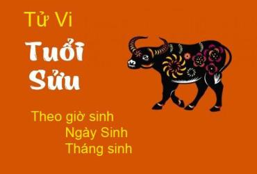 Xem Tử Vi Tuổi Sửu Theo Giờ, Ngày, Tháng Sinh Chính Xác