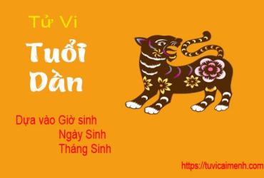 Tử Vi Trọn Đời Tuổi Dần Theo Giờ, Ngày, Tháng Sinh Chính xác