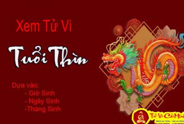 Xem Tử Vi Tuổi Thìn Dựa Vào Giờ, Ngày, Tháng Sinh Chính Xác