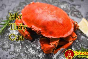 Giải Mã Giấc Mơ Thấy Cua là điềm báo gì