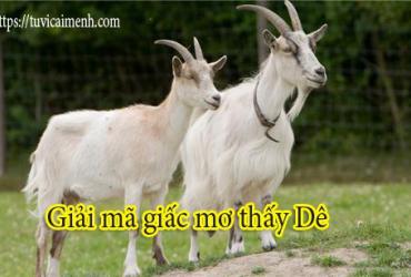 Nằm Mơ Thấy Dê Là Điềm Báo Lành Hay Dữ?