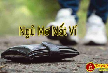 Giải Mã Nằm Mơ Mất Ví là Điềm Báo Gì?