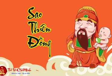 Sao Thiên Đồng - Ý Nghĩa Tại Mệnh và Cung Khác