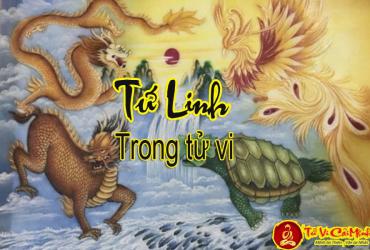 Tứ Linh Là Gì - Ý Nghĩa Tứ Linh Trong Tử Vi