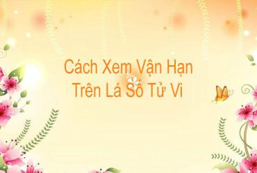 Cách Xem Vận Hạn Trên Lá Số Tử Vi Chuẩn Theo Từng Năm