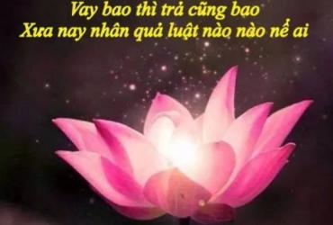 Nhân Quả Là Gì ? Nhân Quả Hiểu Như Thế Nào?