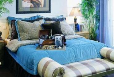 Vị Trí Đặt Cây Trong Phòng Ngủ Hợp Phong Thủy