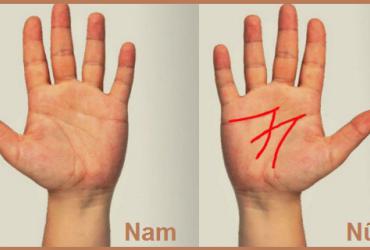 Đường Chỉ Tay Hình Chữ M Về Gia Đạo, Tình Duyên Và Sự Nghiệp
