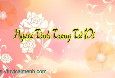 Cách Ngoại Tình, Ly Hôn Trong Lá Số Tử Vi